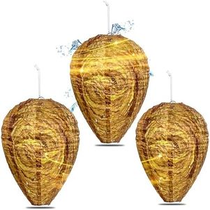 Wasp Nest 