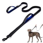 DDSCOLOUR Heavy Duty Dog Leash 5-6ft Long with Double Traffic Handle Reflective Perfect for Medium large dog leash strong Double Handle Lead ，Greater Control Safety Training (Black+Blue)