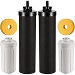 Water Filter Replacement for Berkey- Black Filters and Fluoride Filters Combo Pack Compatible with Berkey Water Filters Replacement- Pack of 4