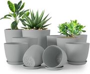 Utopia Home - Plant Pots Indoor wit