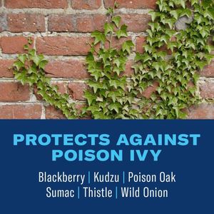 BioAdvanced Brush Killer – Triclopyr Weed Control