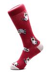 Raccoons Funky Crew Socks for Men Shoe Size 7-12 Maroon