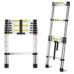 MGENLONG 6.6 FT Extension Ladders, 