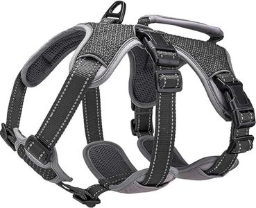 BELPRO Harnais de Soutien Multi-Usage pour Chien, Anti-Fuite, sans Traction, Gilet réfléchissant réglable avec poignée Durable, Harnais de Promenade pour Chiens de Grande Taille (Noir, L)