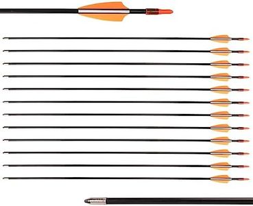 LWANO 28" Fiberglass Arrows - Archery Practice Target Arrows with Blunt Tips Durable Shaft for Youth Kids Children Beginners on Recurve&Long Bows(Pack of 12)