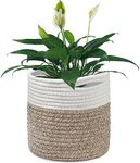 tenn well 20cm Plant Pot with Liner