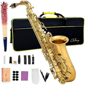 Cadway Alto Saxophone Eb beginner Saxophone includes brush canvas suitcase glove whistle piece cork plaster wipe cloth neck strap and other accessories (Gold)