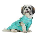 Barks & Wags Dog Sherwani or Dog Wedding Dress, Pet Outfit for Dogs, Dog Clothes, Elegant Dog Costume, Dog Dress for Male Dogs (M, Blue)