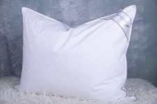 Eastwarmth Goose Feathers Down Pillows for Sleeping, Hotel Collection Bed Pillow with Grey Piping Standard Size (20X26IN) 1 Pack