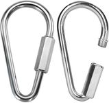 Locking Carabiner For Swing