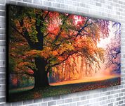 Falling Leaves of Autumn Panoramic Canvas Wall Art Print Framed XXL 55 inch x 24 inch Over 4.5 ft Wide x 2 ft High Ready to Hang Canvas Print - Landscape Photograph - Modern Art