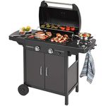 Rated 2 Burner Gas Grill