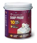 Asian Paint Smart Care Damp Proof Waterproofing Membrane, Elastomeric Coating, Crack Bridging, 10 Year Warranty (4 Liters)