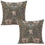 Dripglw Set of 2 William Pimpernel Morris Throw Pillow Covers 18x18 Inch Aesthetic Pillow for Bedroom Velvet Decorative Pillowcase Home Decor Living Room Cushion Case for Bed Sofa Couch