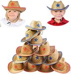 Cowboy Party hats - Dozen Hats - St