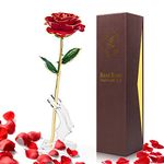 Yolife 24k Gold Dipped Real Rose Lasted Forever with Transparent Stand, Best for Her - for Valentine’s Day Mother’s Day Girlfriend Wife Birthday Wedding Flowers (Red)