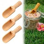 3PCS Natural Mini Wooden Salt Spoons Provides Comfortable Grip 0.9 x 2.1IN Reusable Wooden Scoop Easy to Pour and Measure Spices for Bottle Scooping Tea Coffee Bath Salts Condiments Flour