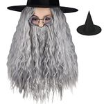 PLULON 4 Pieces Grey Wig and Beard Long Gray Wizard Wig and Beard Costume Accessory for Halloween party Adults and Kids