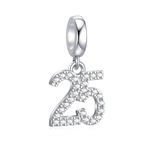 15,16,18,20,25,30,40,50,60 Number Charms Shiny Crystal Birthday Anniversary Celebration Charm fit Pandora Bracelets,Gifts for Wife Daughter Lover Friends, Silver, Cubic Zirconia