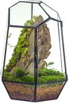 NCYP 25cm Height Close Geometric Terrarium with Door, Black Irregular Tall Glass Planter Handmade, Modern Succulent Cacti Flower Pot, Home DIY (Plants and Props NOT Included)