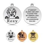 Dog Tags for Pets Engraved UK Personalised Dog Tag Dog Name Tag Dog Tags Dog ID Tag Custom Stainless Steel Dog ID Tags for Puppy Dogs Pet Dog (Silver S, Round)