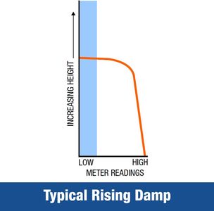 Dryzone Moisture Meter – Digital Damp Detector for Walls and Wood