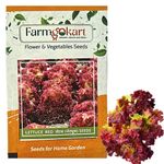 10 Gms of RED LEAF LETTUCE SEEDS |Approx 10000 seeds per packet| High Germination Quality Vegetable and Herbs Seeds Pouch | for Home Gardening, Farming and Planting