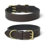 Dog Collar Waterproof