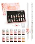 Glass Dip Pen Set 16pcs Crystal Ink Pen with 2 Glass Pens, 12 x 7ml Colorful Inks, Pen Holder and Cleansing Cup, Sakura Glass Dip Pen and Ink Set for Gift Art Writing Drawing Signatures Calligraphy