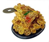 GJ Feng Shui Tri Leg Frog or Money Frog or Money Toad for Wealth Luck