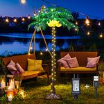 Lighted Palm Tree with Coconuts 5FT 208 LED Artificial Palm Tree Lights with USB & Adapter Outdoor and Indoors Decor for Holiday Christmas Patio Pool