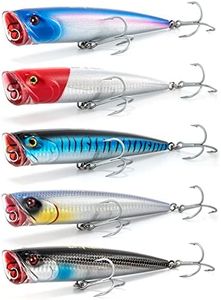 Dr.Fish 5