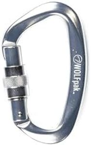 Accessory Carabiner Silver