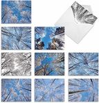 Snow Tops - 10 Beautiful Boxed Seasons Greetings Cards with Envelopes (4 x 5.12 Inch) - Elegant Snow Covered Winter Trees - Assortment of Merry Christmas and Holiday Notecard Set M10017XS