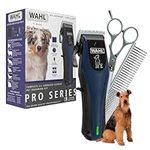 Wahl Power Pro Lithium Ion Recharge