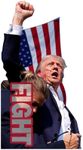 5Ft Donald Trump Fight Stand Up | Cardboard Cutout | Life Size Standee | Picture Poster Photo Print - Cardboard