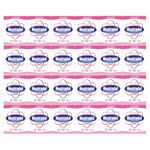Neutradol Slow Release Gel, Air Freshener and Odour Eliminator, No Plug or Spray Needed, Multipack of 24 x 135g (Fresh Pink)