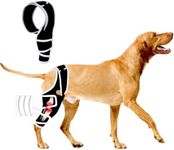Dog Knee Brace for Torn ACL Front L