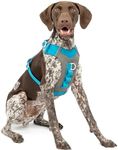 Kurgo Journey Air Dog Harness, Vest