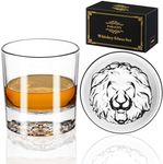 PARACITY Whiskey Glasses Set of 2, 