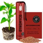 DYNOMYCO Mycorrhizal Inoculant – Plant Growth & Root Treatment – Concentrated Mycorrhiza Formula – Boosts Nutrient – Mycorrhizae Plant Food for Resilience, Root Strength & Fertilizer (200g / 7oz)