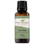 Plant Therapy Tea Tree Essential Oil | 100% Pure, Undiluted, Natural Aromatherapy, Therapeutic Grade | 30 milliliter (1 ounce)