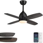 LuminaFlow Ceiling Fans with Lights