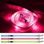 Blinlit Led Dog Leash, 4 Ft Light Up Dog Leash Rechargeable Waterproof, Nylon Reflective Leashes with Padded Handle for Night Walking, Safety Glow in The Dark Dog Leash for Large Medium Small Pets