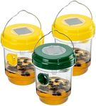3 Pack Wasp Traps Outdoor Hanging