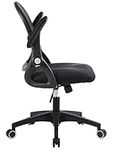 GERTTRONY Ergonomic Office Chair Chaise Task with Lumbar Support Mesh Computer Flip up Armrests Swivel Executive Desk for Home Conference Room (Black/Black)