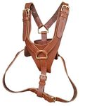 Leather Dog Harness Pattern