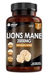 Lions Mane Mushroom Extract Supplement 2000mg - 180 High Strength Vegan Tablets with Black Pepper - (Not Powder or Capsules) Made in The UK by New Leaf Products