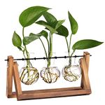 XXXFLOWER Plant Terrarium Wooden Stand Propagation Station Glass Bulb Vase, Desk Plants Holder Retro Style for Tabletop Hydroponics Home Wedding Garden Decor, 3 Bulb Vase