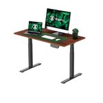 ErgoYou - Electric Height Adjustable Standing Table 47 x 23.5 inches - Dual Motor 3 Stage -125 kg Static Weight Capacity - E1A Series - Ergonomic Sit Stand Computer Desk – (Walnut, Black Steel Frame)